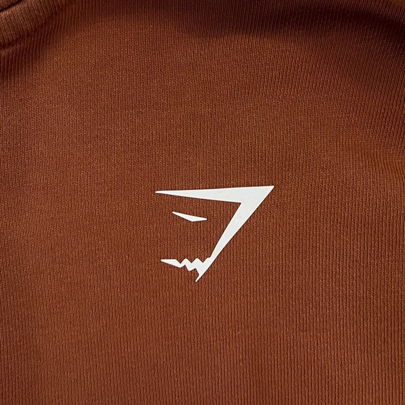Gymshark Rust Brown Cropped Hoodie with Logo - Picture 7 of 8